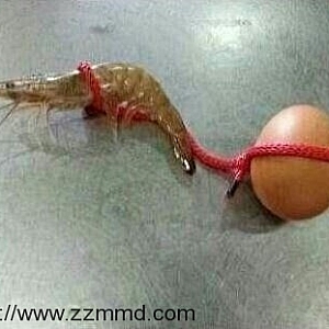 微信快速加好友的21个方法