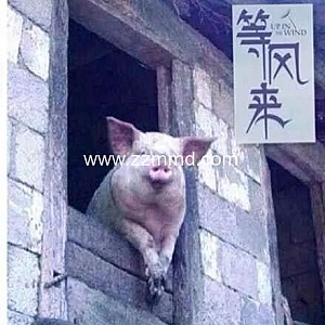 经济越萧条,机会越多!(信息量很大)