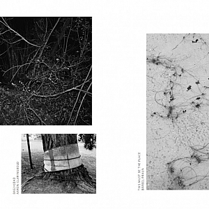 如何打破平淡魔咒的网页设计?