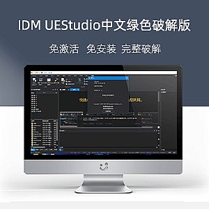 IDM UEStudio_v22.1.0.100_中文绿色破解版